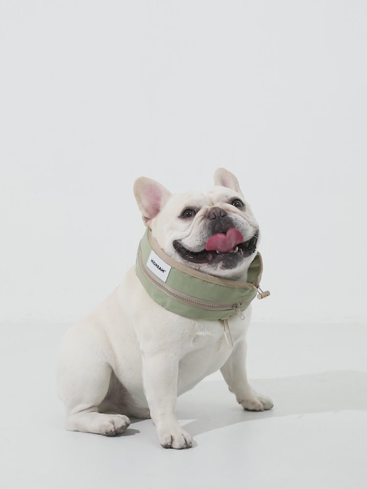 English product video showing the dog cooling collar in use