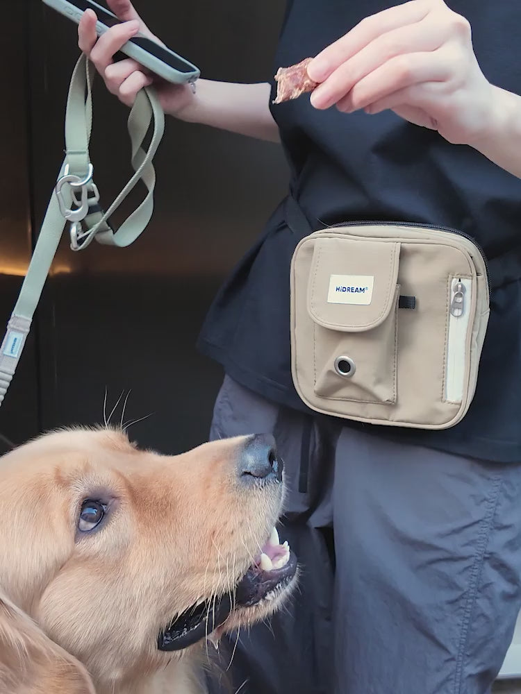 Toast Training Treat Pouch video showing dog training during an outdoor walk