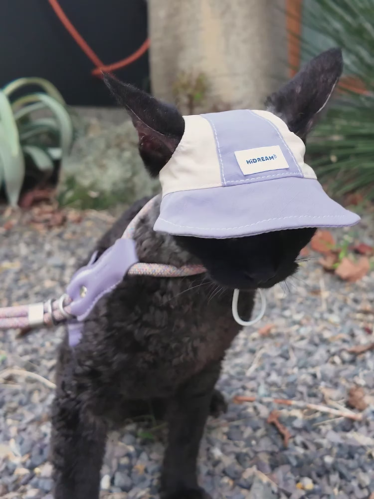 English video showing a cat wearing the Lightweight Cat Sun Hat on an outdoor outing