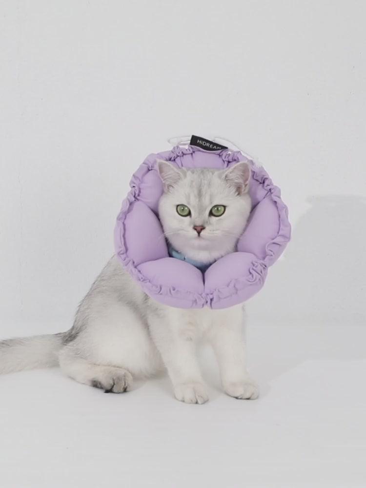 English product video for the upgraded flower cat recovery collar