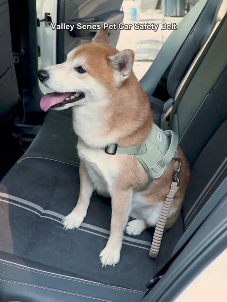 PawPad Valley pet car safety belt product video
